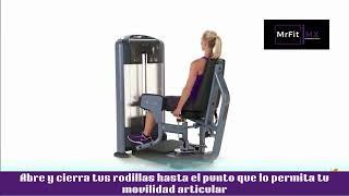 Abductor MrFit Mx