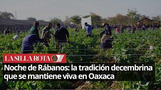 Noche de Rábanos: la tradición decembrina que se mantiene viva en Oaxaca