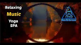 Relaxing Music   SPA YOGA ️ Music No Copyright  MNC  Free Video too