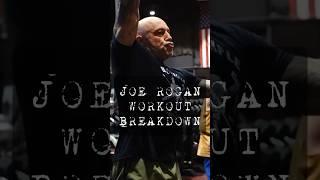 Joe Rogan Kettlebell Workout Breakdown