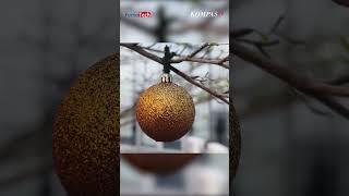 Ini Letak Keunggulan dari vivo X100 Pro