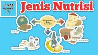 Nutrisi yang dibutuhkan oleh tubuh : Sistem Pencernaan Manusia