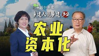 大资本垄断农业政策资源，普通人创业是否还有出路？【温言铁语】