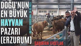 FİYATLAR O BİÇİM ERZURUM HAYVAN PAZARI