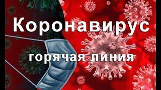 Официальный сайт стоп коронавирус.  Телефон горячей линии по коронавирусу