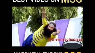 The Best Video on MSG - Gurmeet Ram Rahim | The Vines of Indiaaa