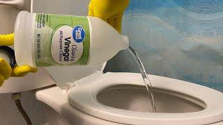 Put Vinegar Into a Toilet, and Watch What Happens!