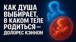 Как душа выбирает тело и судьбу до рождения — по Долорес Кэннон | Жизнь до зачатия