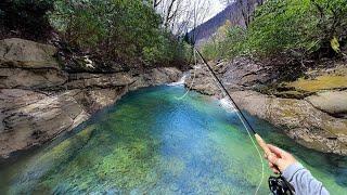 Spring Fly Fishing for Native Brook Trout (Western NC)