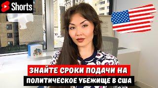 Срок подачи на политическое убежище в США, иначе депортируют