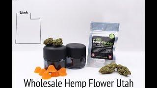 Wholesale Hemp Flower Utah - Buy Bulk Hemp Here