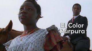 EL COLOR PURPURA (1985) | RESUMEN