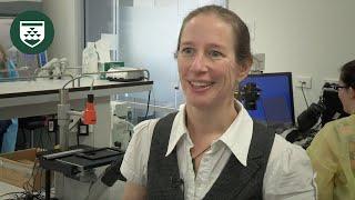 Dr Anne La Flamme talks MS and the immune system