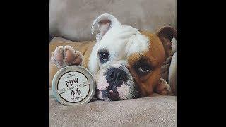 Natural Dog Company Paw Soother