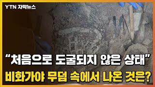 [자막뉴스] 일본에 도굴 안 된 비화가야 고분...그 속에서 나온 것은? / YTN