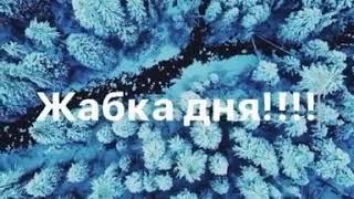 Жабка дня #10