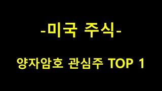 [24/12/12] 미국 주식 양자암호 관심주 TOP 1