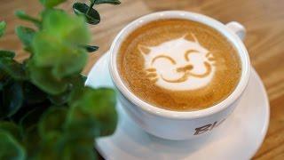 Cat :: Latte Art