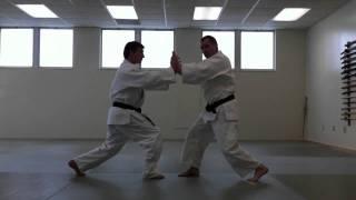Now You're Talkin! - Judo from the Bottom Up! - Entering Techniques