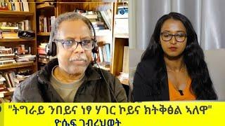 " ዝጠቅም እንተኾኑ መንግስቲ ትግራይ  ምስ መንግስቲ ኤርትራ ኣይዘራረቡ ኣይብልን! !" ቃለ መሕትት ምስ ተንታኒ ፖለቲካ ምብራቕ ኣፍሪካ ዮሴፍ ገ/ህይወት