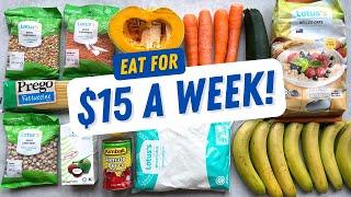 EXTREME BUDGET GROCERY CHALLENGE | I Thrived on Only $15 of Food for a Week + FREE PDF