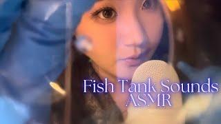 Focus Test ASMR | Relax & Sleep with Fish Tank Sounds