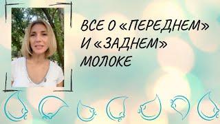 Все о переднем и заднем молоке