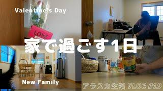 日/ENG【Life in Alaska #19】Day at home（Welcoming a new family & Valentine's Day） | VLOG