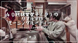 【田舎暮らし】5:30におきて火おこしから始まるモーニングルーティン/パラボラにゃんこの愛が重ため【vlog】