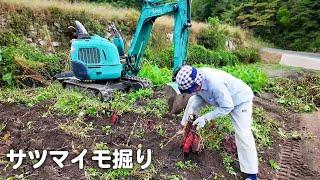 【田舎暮らし】夫婦でサツマイモ掘りをしてきました【山口県vlog】