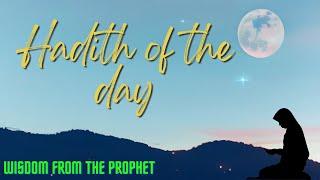 Hadith of the Day 84 | Harmonious Hajj Practices  #revelation #sunnah