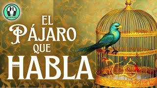 Cuento "EL PÁJARO QUE HABLA" | FIN de Las Mil y Una Noches | Audiolibro Completo | Voz Humana.