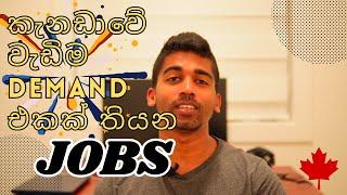 කැනඩාවේ වැඩිම Demand එකක් තියන Job Categories | High Demand Jobs in Canada with Salaries 2024 