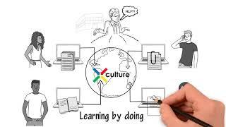 What is X-Culture: An Explanation for Non-Student Professionals