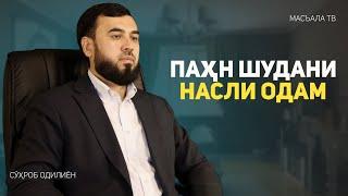 Насли Одам чӣ хел паҳн шуд?