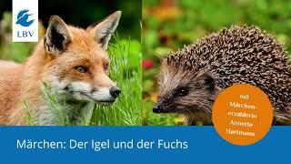 Märchen: Der Igel und der Fuchs