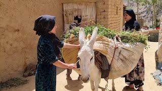 A day with a family that lives in the most remote village of Afghanistan