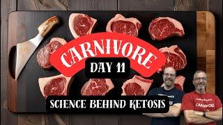 Day 11 of the 30 Day Carnivore Challenge - Science behind Ketosis