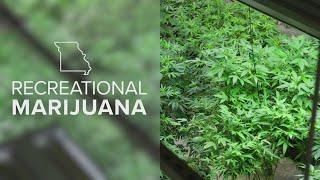 St. Louis County proposes changes to marijuana ordinances