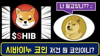 이코알라! '시바이누 코인'편, 도지코인을 잡으러 이 몸이 왔다. 업비트 거래량 1위! [SHIB coin]