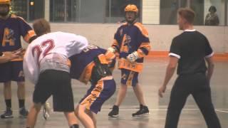 Lacrosse Fight