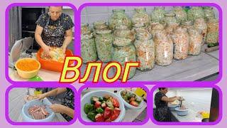 ХРОНИКА дня/МАРИНУЮ капусту-отличный РЕЦЕПТ/купили МНОГО МЯСА/перчик в заморозку/посол ГРУДИНКИ