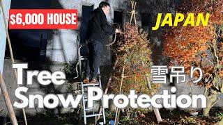 $6000 house in Japan: Protecting the garden in winter