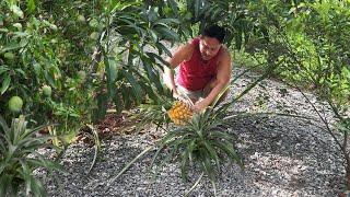 SINIGANG NA BUTO-BUTO!!! FRESH HARVEST PINEAPPLE AT MANGGA! Filipino Food. Mukbang. Philippines.