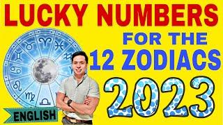 LUCKY NUMBERS FOR 2023 BASED ON YOUR CHINESE ZODIAC | ENGLISH