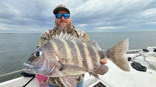 All About The Oysters: Toadfish Shellabration and Sheepshead Fishing in Charleston