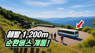  해발 1,200m!  국내 최고의 명산을 누비는 순환버스 트레킹 여행 |  단돈 1,000원 | 대중교통 당일치기 여행 |  Mountains Circular bus