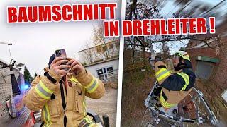 EINSATZ  : BAUMSCHNITT mit der eigenen DREHLEITER | ItsMarvin