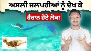 ਜਲਪਰੀਆਂ ਦਾ ਰਹੱਸ Mystery Of Mermaids Revealed | Punjab Talkz