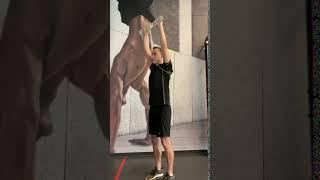 Rotator raise/press